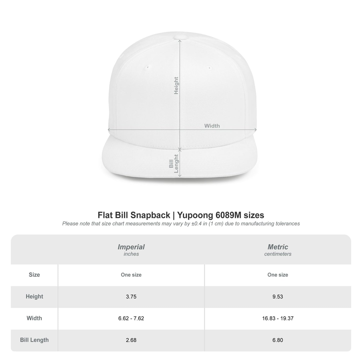 Stutty Flat Bill Snapback