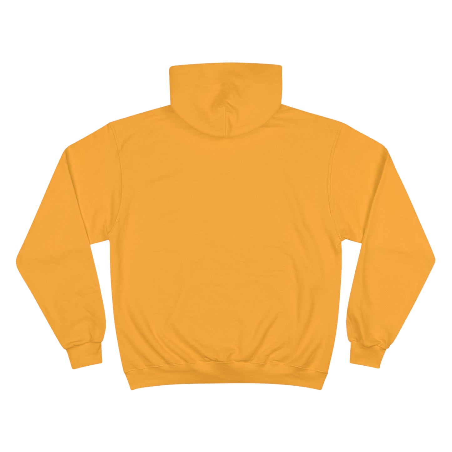 Rainbow Cowboy Champion Hoodie