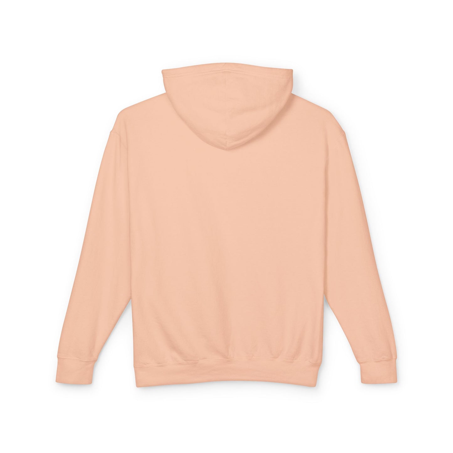 Queer Excellence Unisex Lightweight Hooded Sweatshirt